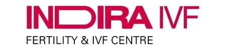 Indira IVF Hospital Limited